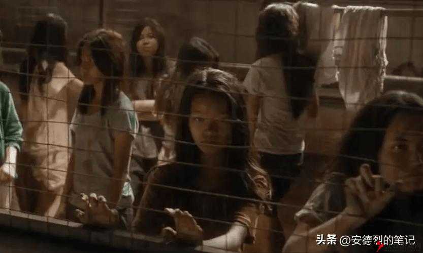 能看缅北视频的软件:带你领略神秘缅北的真实影像