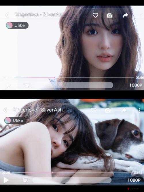 欧美日韩 MV 与国产站的多元呈现