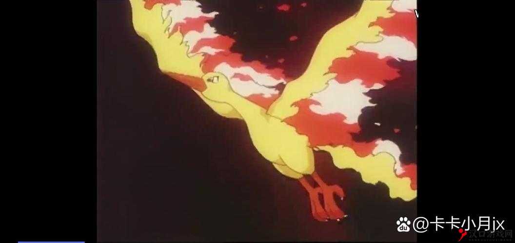 精灵宝可梦GO,揭秘火焰鸟的神秘踪迹
