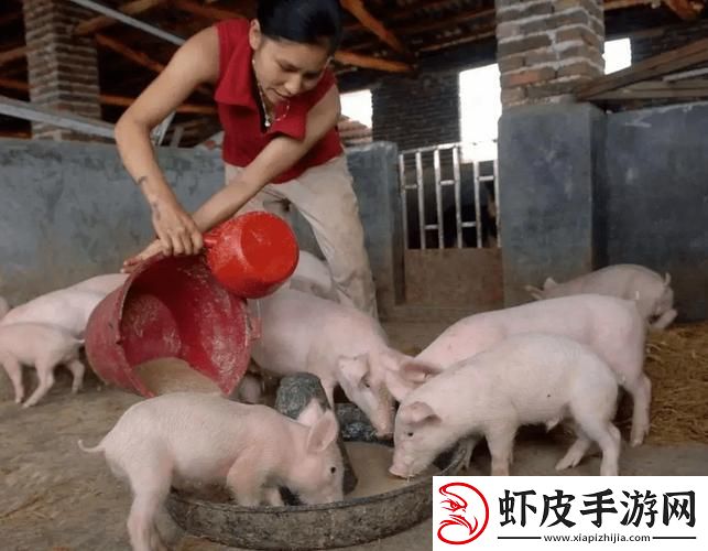 养猪场二代