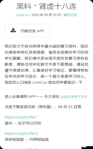 155FUN 黑料官网崩溃:探究背后原因及影响