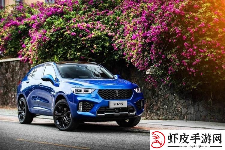 Weyvv8国产SUV