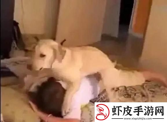女子和金毛