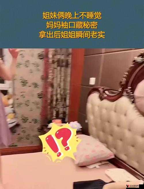 姐姐说家里没人可以 C :揭示背后隐藏的秘密和情感