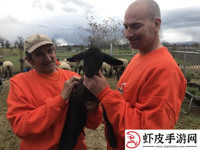 美国佬与动物们的超友谊