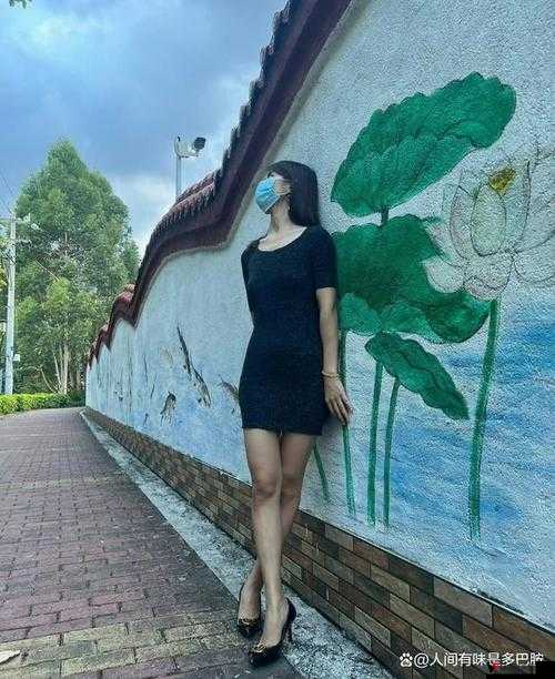 沈阳老阿姨最后的巅峰在哪个位置揭示了生活的真谛与追求的意义