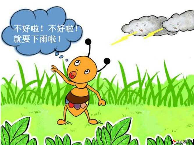 蚂蚁雨中行