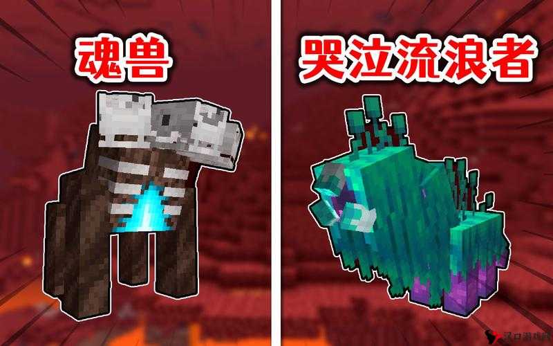 我的世界流髑图鉴及流髑属性详解