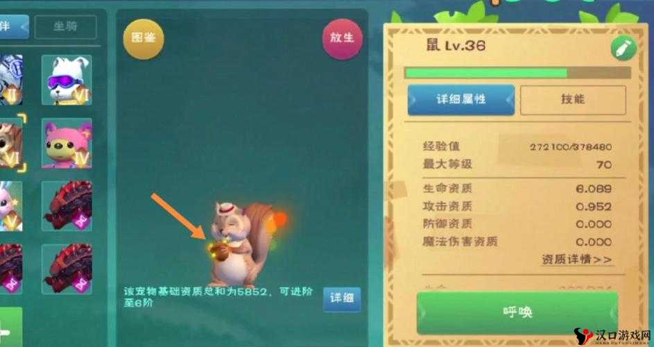 关于创造与魔法：松鼠技能的奥秘揭秘