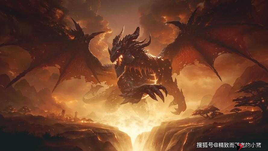 《冒险之光:魔兽试炼的奇幻之旅》