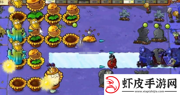 植物大战僵尸杂交版挑战模式第40关全攻略与通关技巧分享
