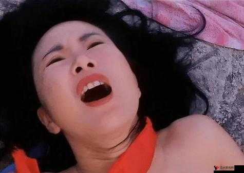 艳母天美：独特魅力引人探寻