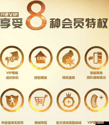 挂机吧国VIP特权全解析:解锁专属特权,畅享尊贵体验