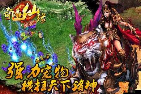 《奇迹仙缘:驭兽之途,坐骑攻略全解析》