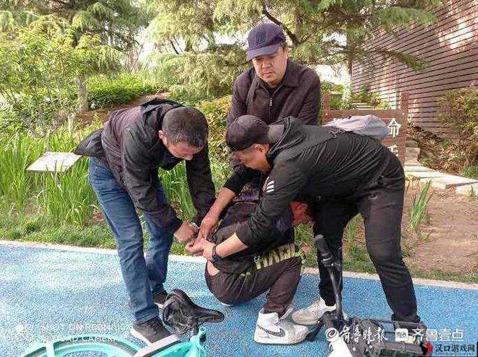 毛贼横行,正义出击:全面惩治毛贼任务详解