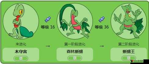 口袋妖怪复刻,揭秘木守宫的最佳性格选择