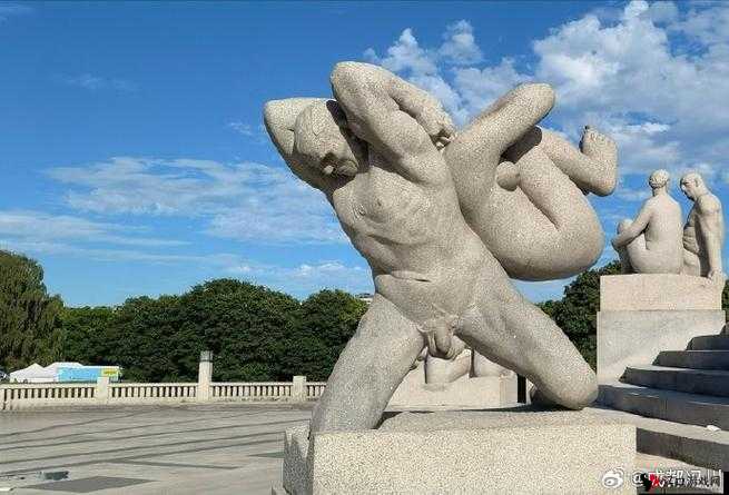 关于裸体某某姓交的一些独特探讨与思考