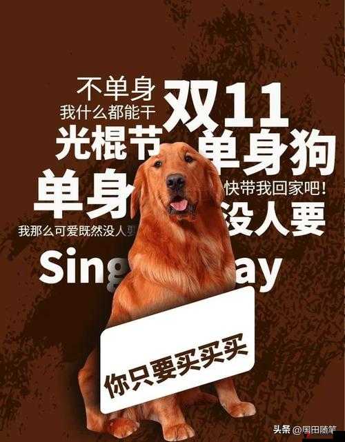 2012 光棍节:起源、习俗与时间全揭秘