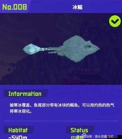 《潜水员戴夫》游戏攻略：镰甲鱼的隐秘位置探寻与捕捉指南