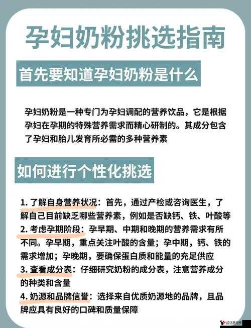 wheeltpe 孕妇轮该如何选择:详细解析与实用建议指南
