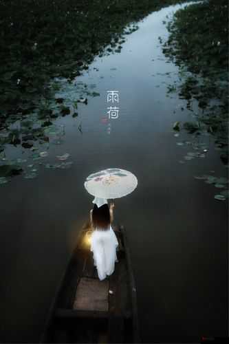 老人船上弄雨荷的故事情节如何展开:从细节处探寻故事发展脉络
