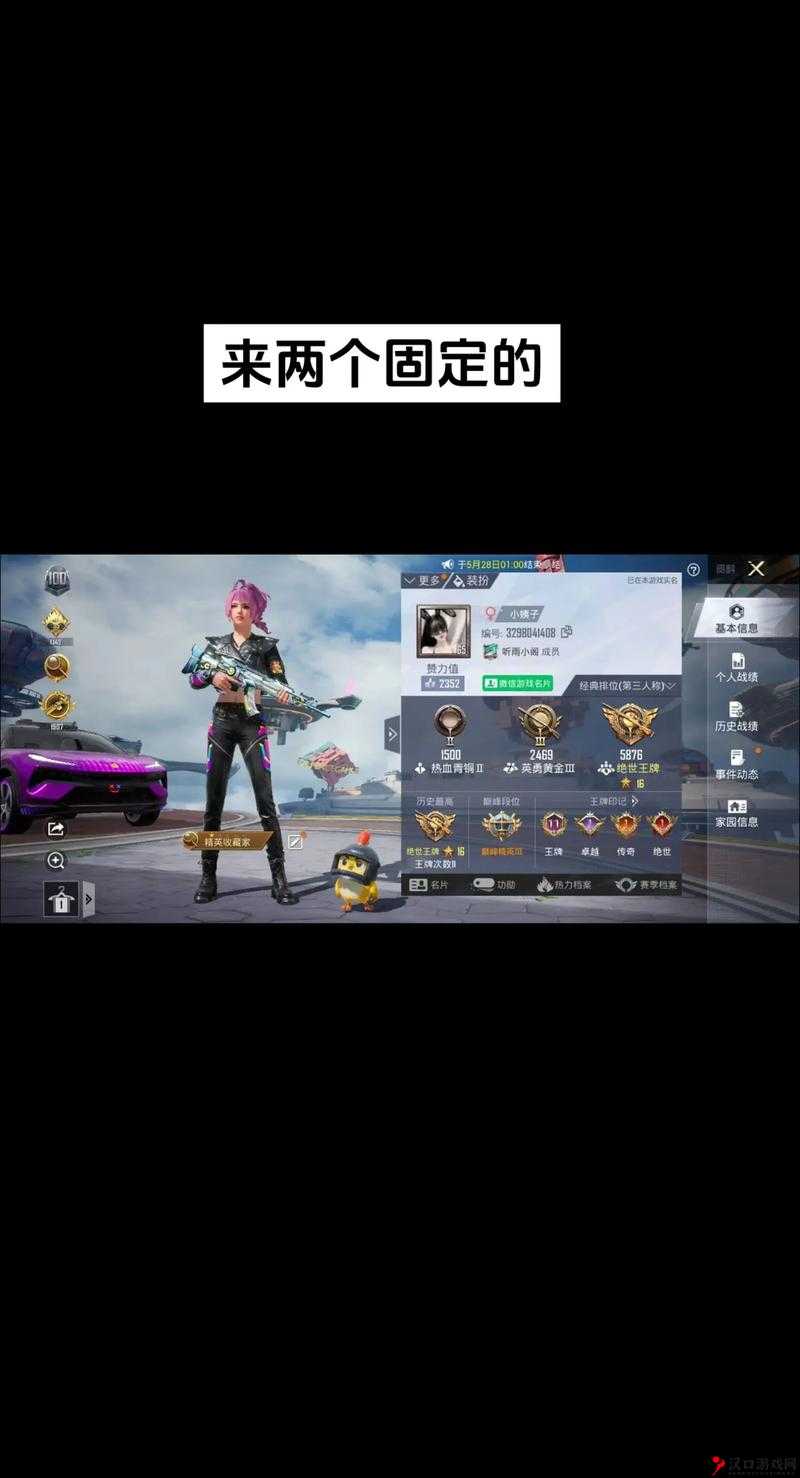 刺激战场老阿姨:别样游戏世界里的独特身影