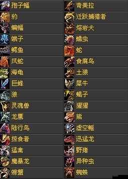我叫MT3兽王纲增值详解,兽王纲要加多少宠物成长值