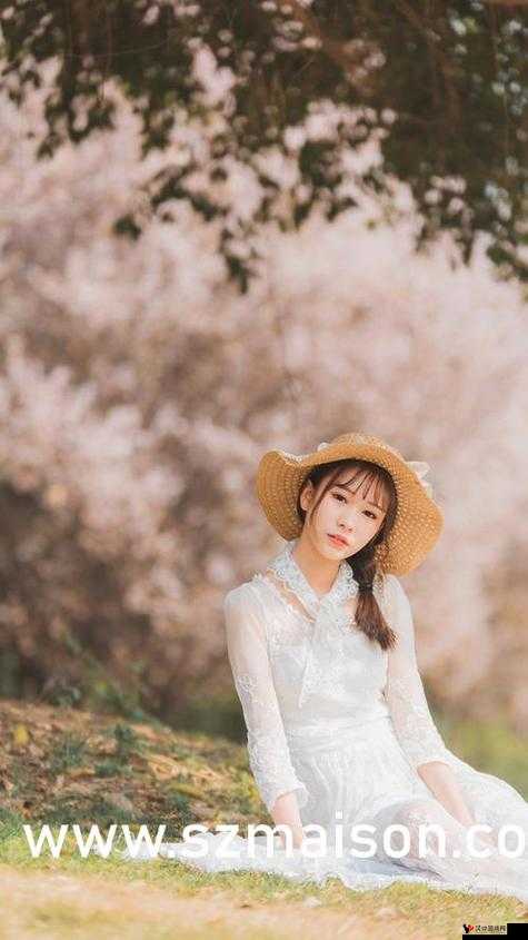 激战后厨 1 至 5 集-一部展现后厨激烈竞争与精彩故事的系列剧集