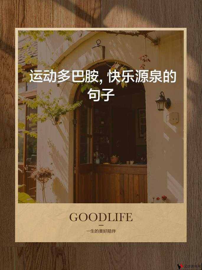 探寻快乐源泉:揭秘快乐101小树枝的获取之道