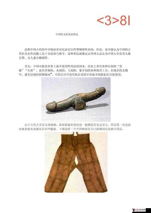 探索完整且自由的中国性文化发展之路