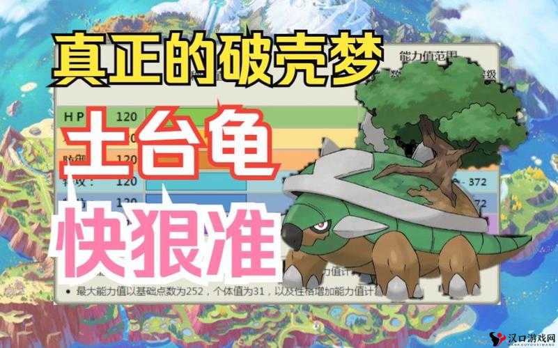 土台龟性格深度剖析,打造最强防御战士
