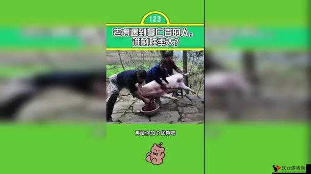 CCGG51CT 吃瓜:带你走进不一样的精彩娱乐世界
