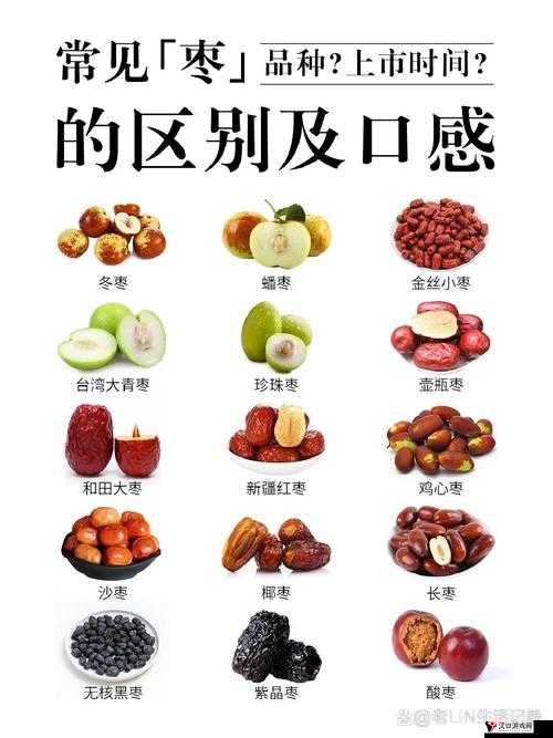 大枣和红枣有什么区别:从营养成分到食用功效全面解析