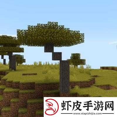 我的世界金合欢树位置详解