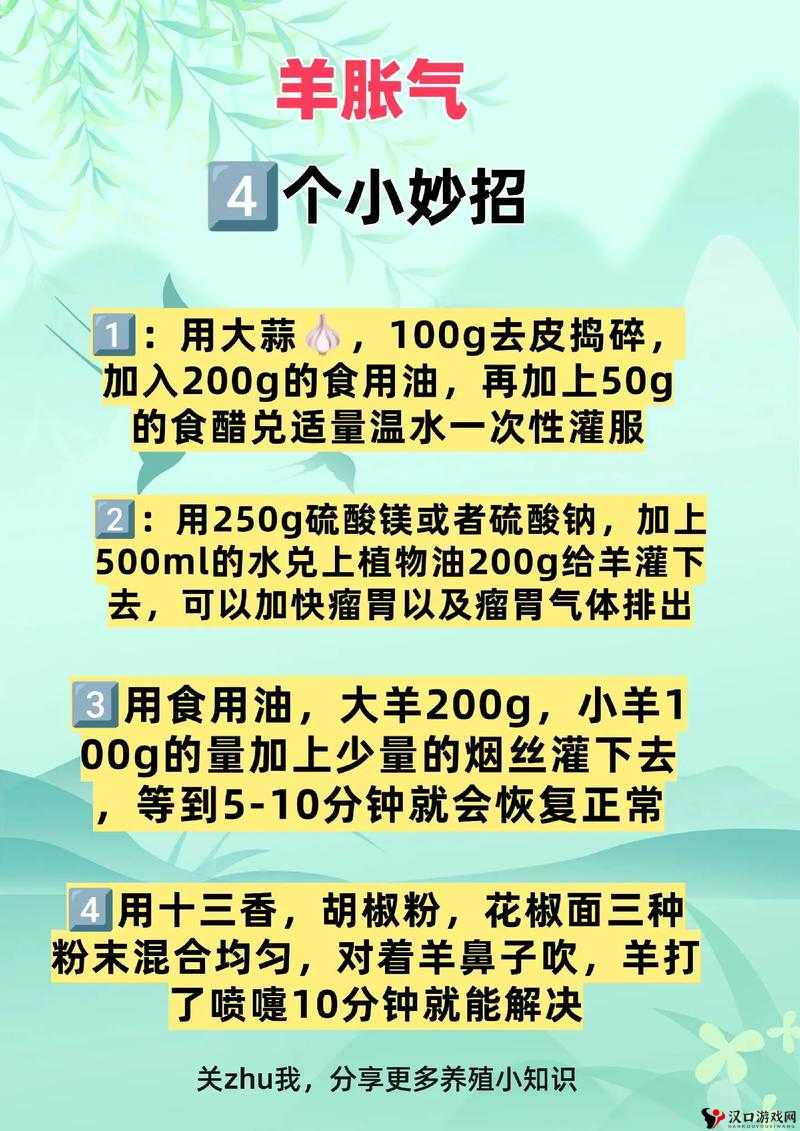 如何科学有效地进入羊的水门:养殖者必备知识