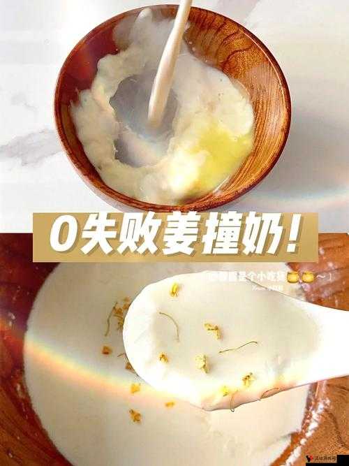 姜汁撞奶 TXT 阿司匹林:独特的美食与文字的奇妙组合