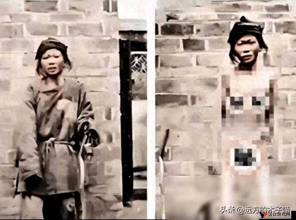 在东京,女体拷问研究所内的神秘故事即将被揭示