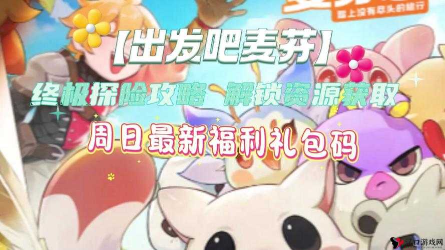 冒险之光礼包领取全攻略,解锁你的专属福利