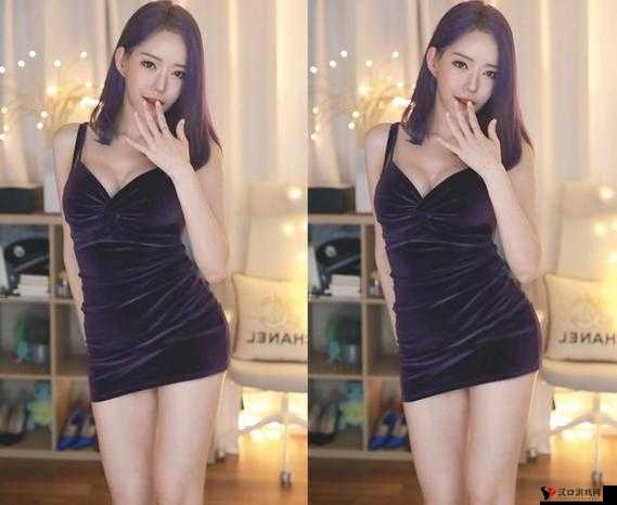 麻天美果冻星空大象乌鸦的奇妙冒险