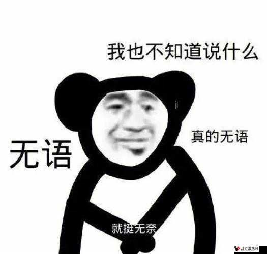 啊～你tm别了小saoBD：这真的是让人无语的表达啊