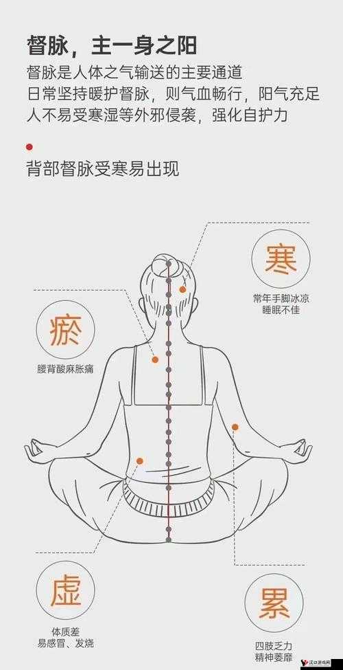 老女人逼逼败火:一种独特的健康疗法