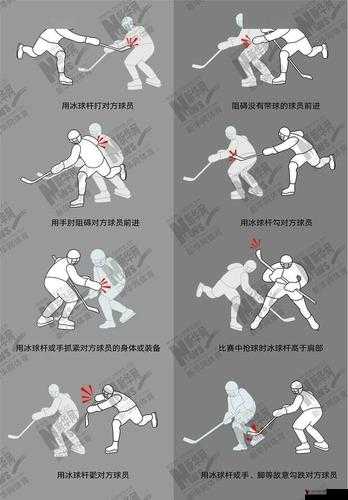 冰球插件 Play:为冰球爱好者带来全新精彩体验的神器