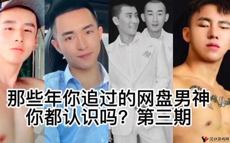 男同志王伦宝 VIDEOS:探索同志世界的精彩故事