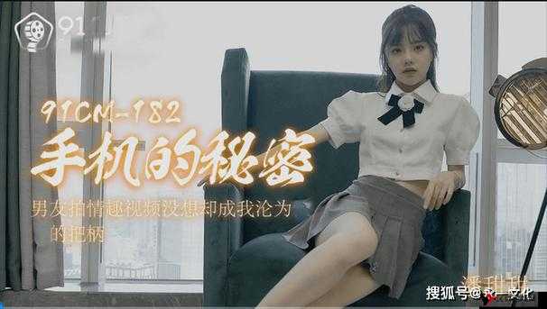 媒豆传媒免费视频入口网站:畅享无限精彩的视频世界