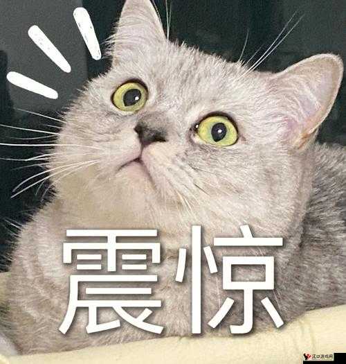 震惊这组图片为何让人看了直呼受不了