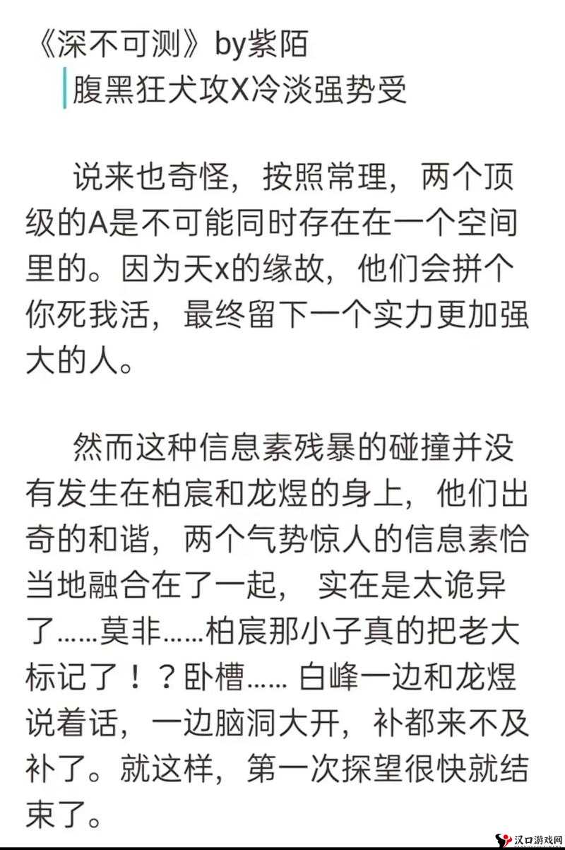 车速很高的 R 文双男:激情狂飙之旅