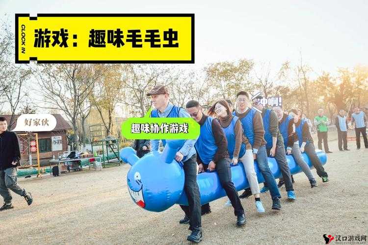 以打牌生猴子的视频大全教程:趣味游戏,教你赢遍全场