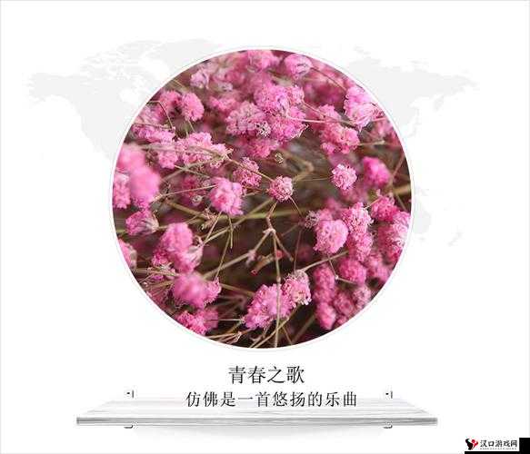 俄罗斯学院满天星女声版：天籁之音，唱响青春之歌