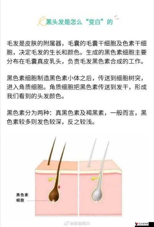 女生流出白白的东西怎么回事:详细解析及相关注意事项