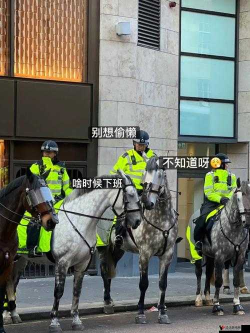 货车司机老周:车赵青,我们要不要窃窃私语一下?